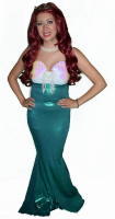ariel.png