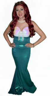 ariel.png