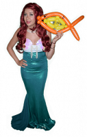 ariel-a.png
