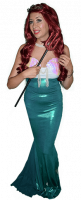 ariel-b.png