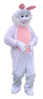 bunny-removebg-preview
