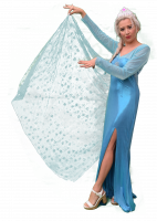 elsa-3-1.png