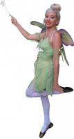 tinkerbell-d.png
